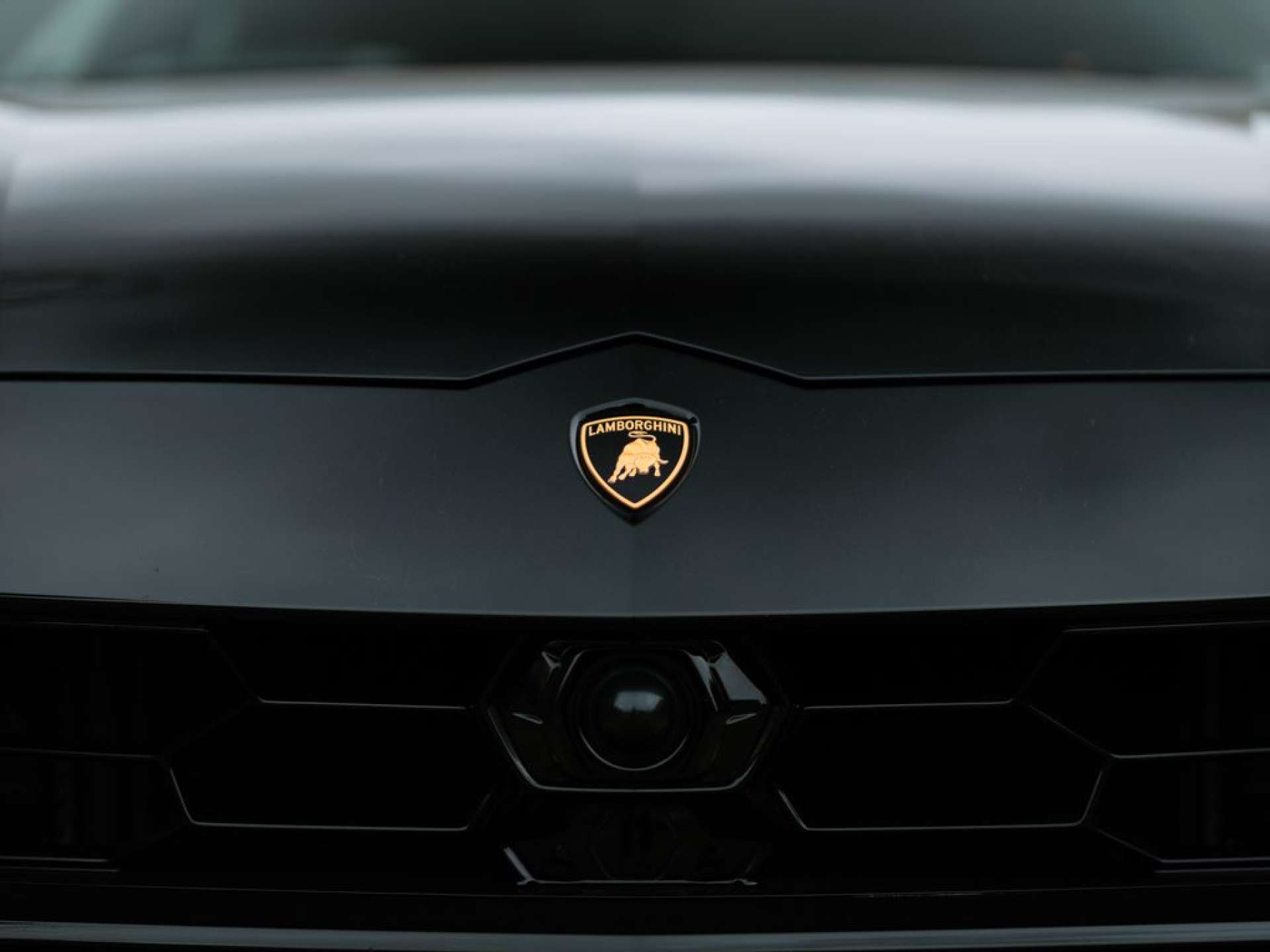 Used Lamborghini Urus